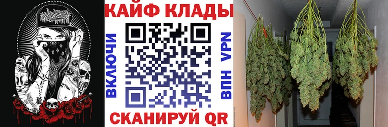 Виды наркоты Асино Cocaine  A PVP  МЕФ  ГАШИШ  АМФЕТАМИН  Марихуана 