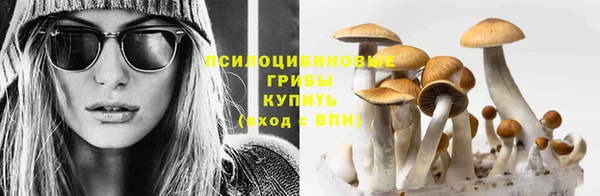 марки lsd Алексеевка