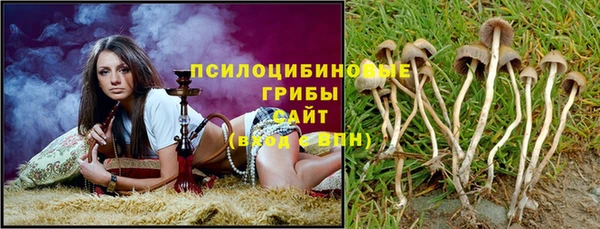 героин Алексин