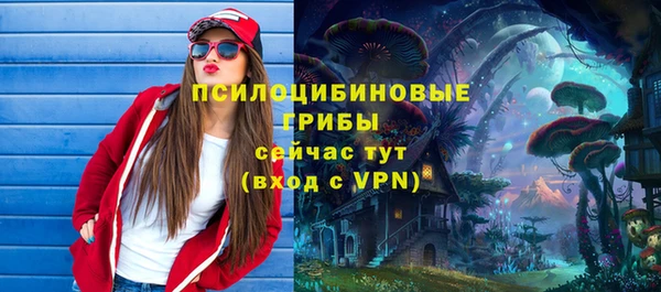 героин Алексин