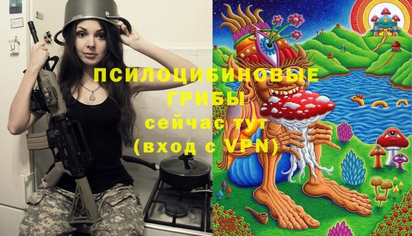 марки lsd Алексеевка